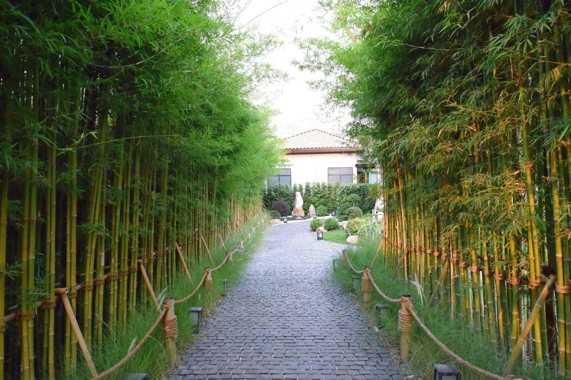Zen Villa Khao Yai Mu Si Eksteriør billede